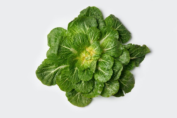 제철 식재료 봄동, 몸에 열 많은 사람에게 좋은 이유